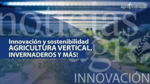 ¿Cómo aumentar la producción de alimentos?