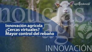 ¿Cercas virtuales? Mayor control del rebaño