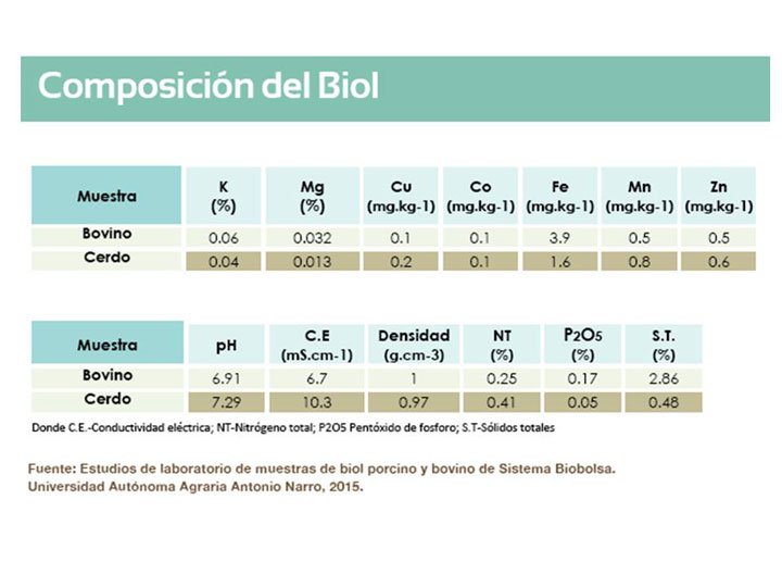 Cuadro de composición de bioles