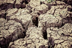 suelos agrícolas - ganadería regenerativa