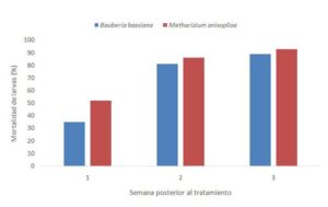 ganaderia regenerativa - ganadería regenerativa ventajas