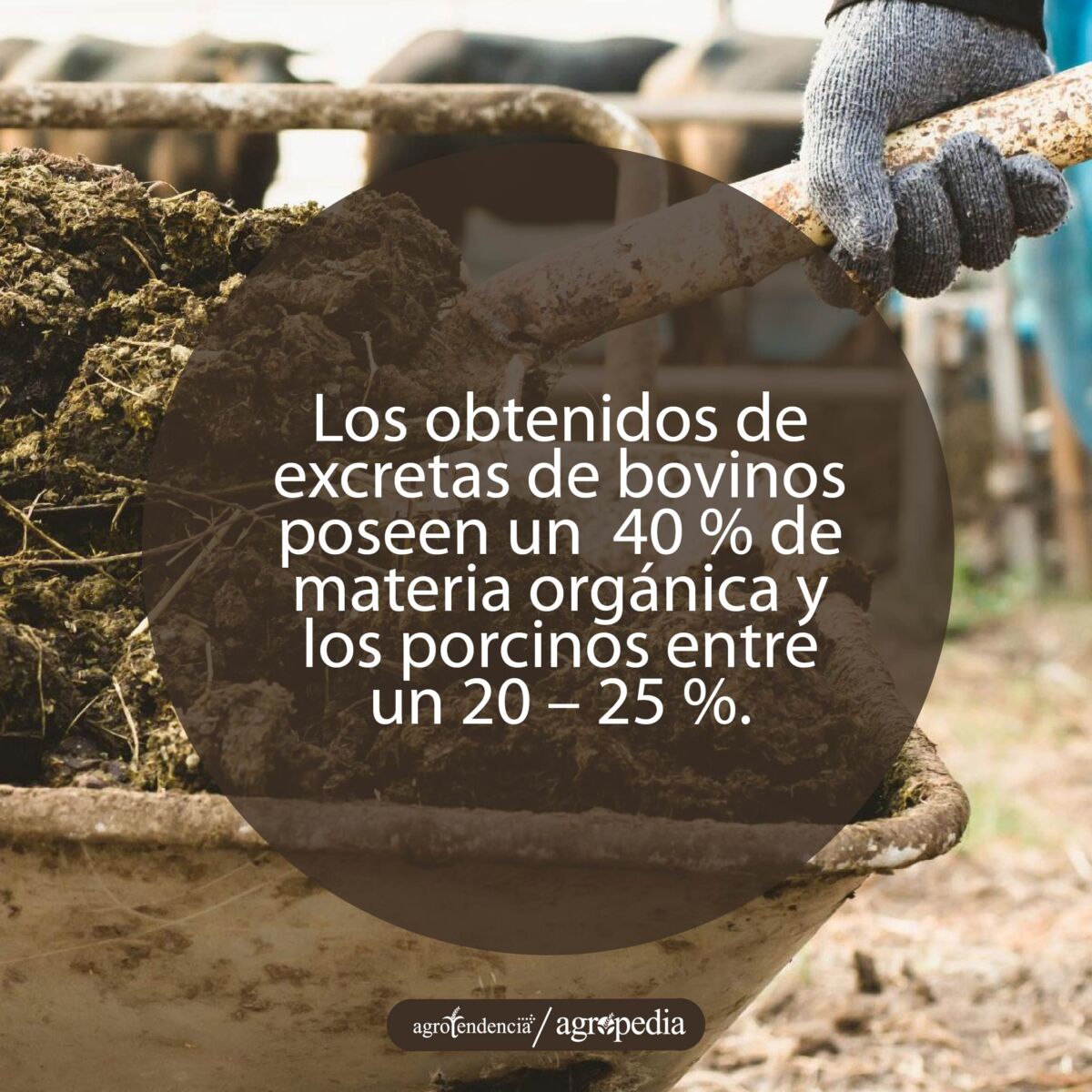 pala sacando estiercol