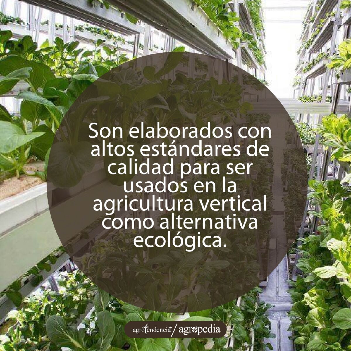cultivos sembrados con bioles en agricultura vertical