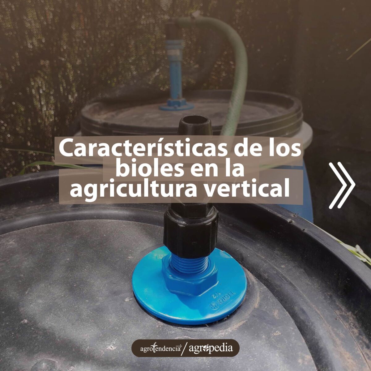 tanques con bioles