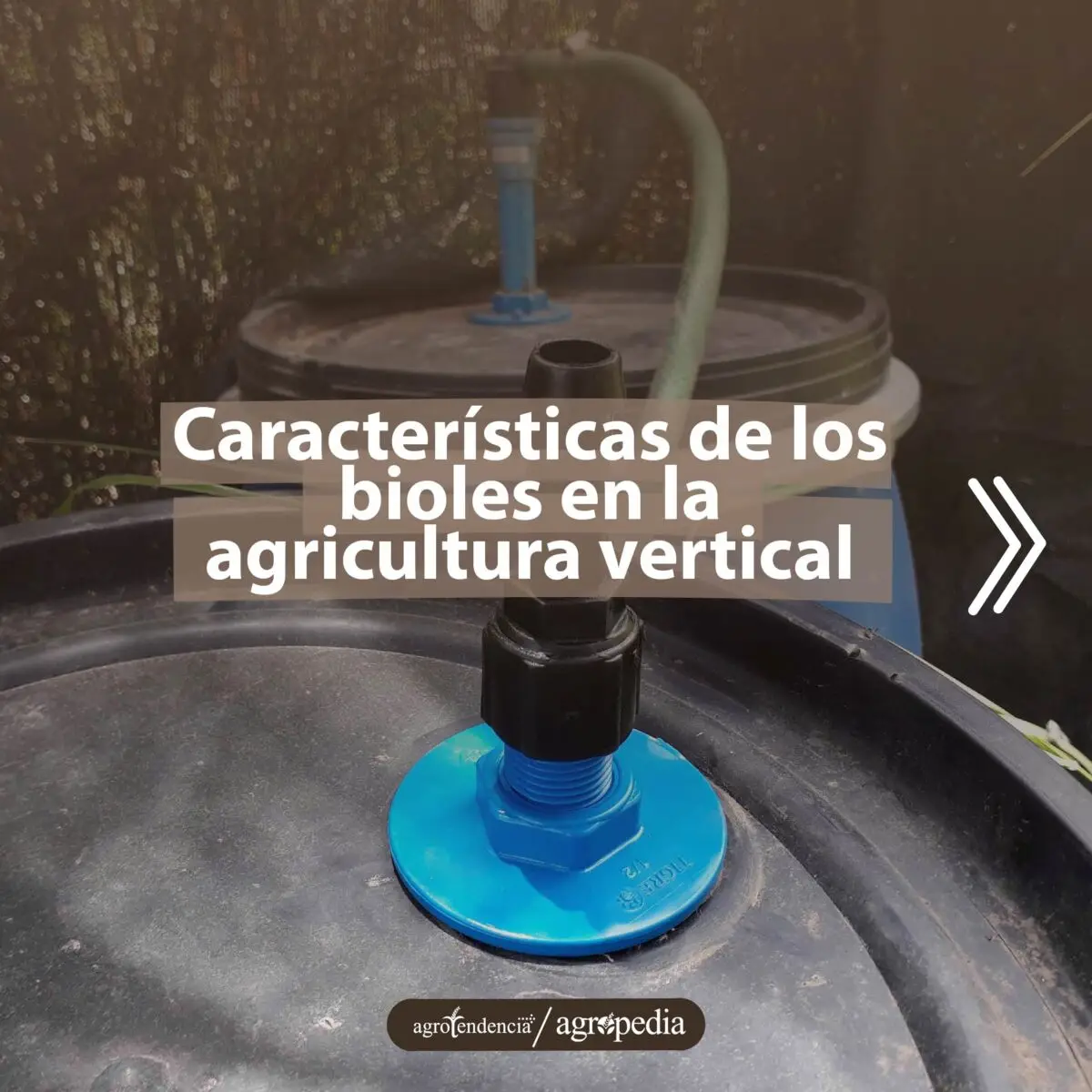 tanques con bioles