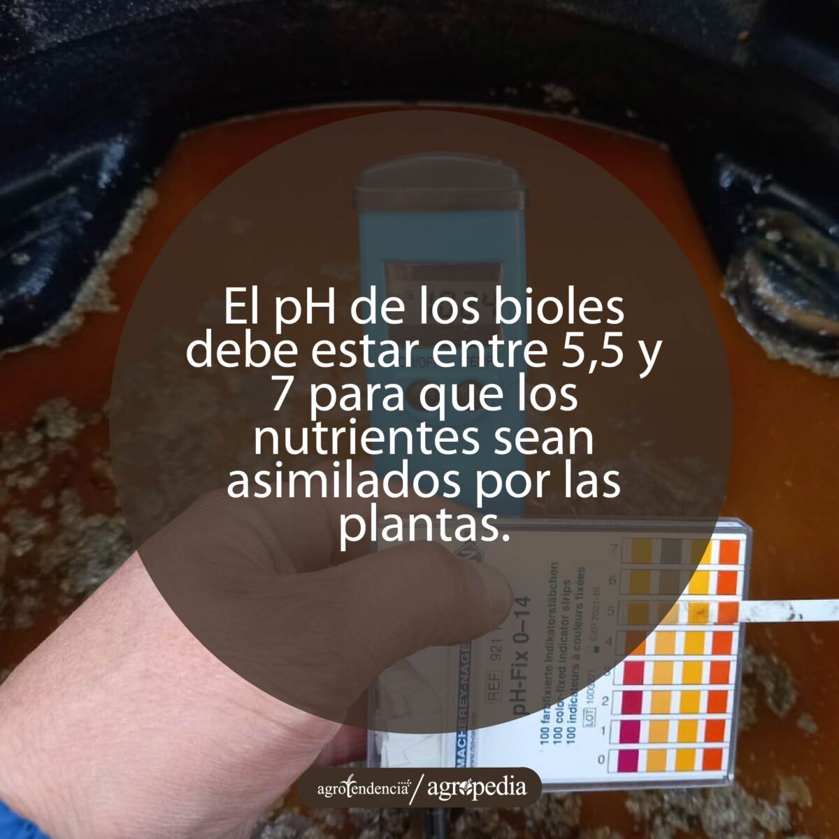 persona midiendo pH en un tanque con biol