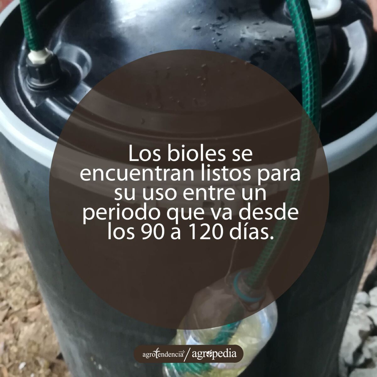 tanque con biol en su interior