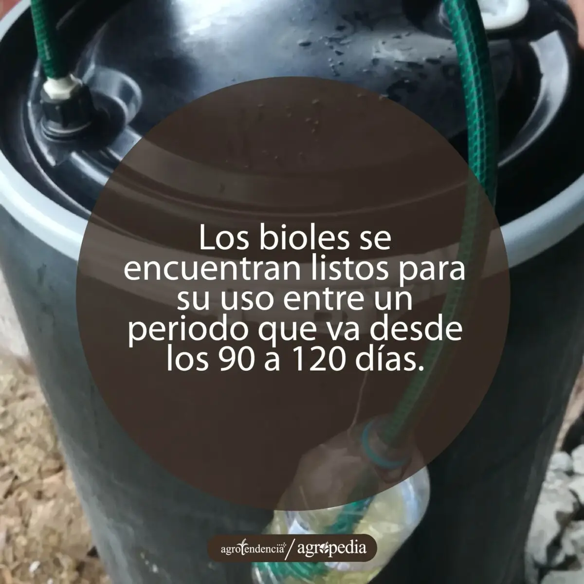 tanque con biol en su interior