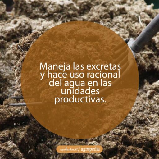 excretas de ganado