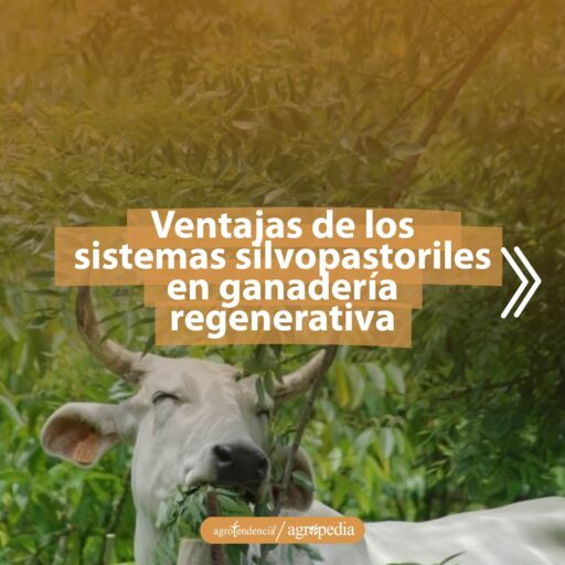 una vaca con una rama en la boca