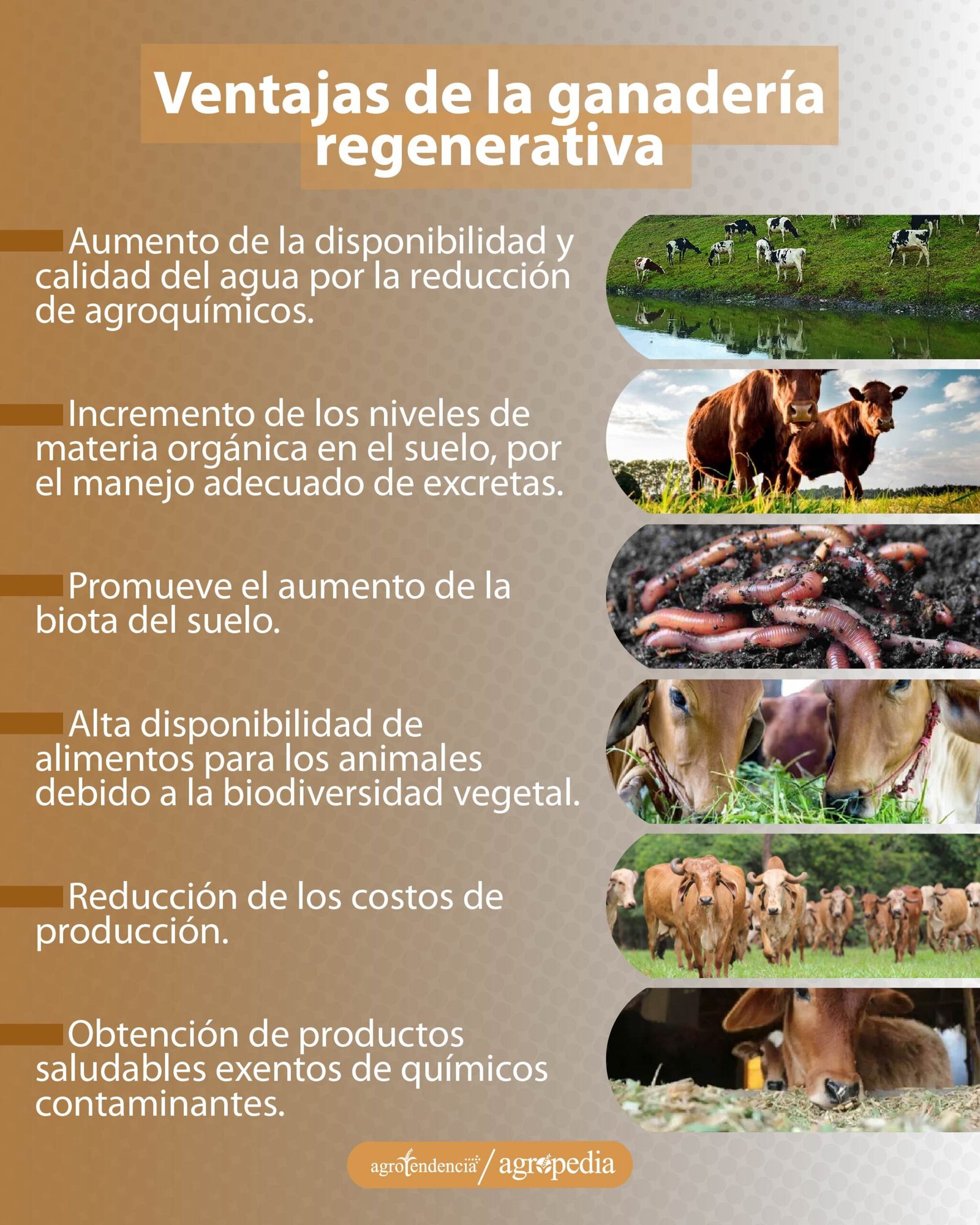 fotos de ventajas de la ganadería regenerativa