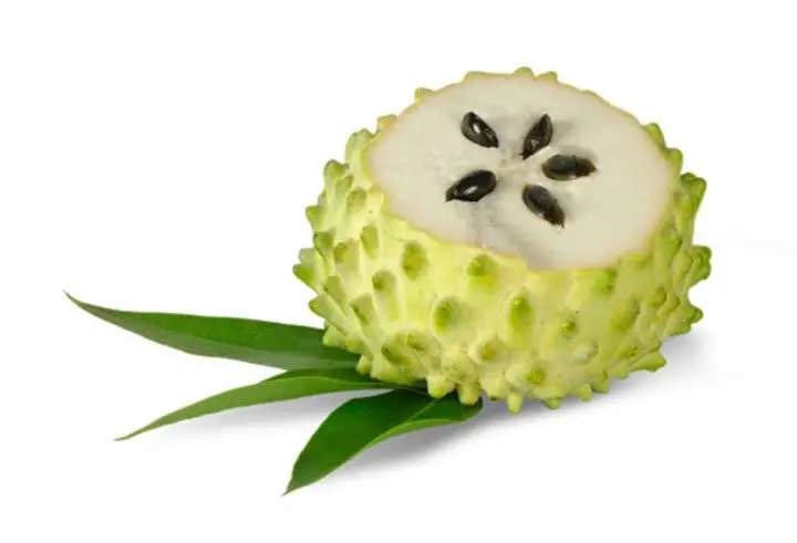 fruto abierto de guanabana