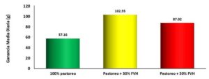 forraje verde hidropónico - cultivo hidropónico