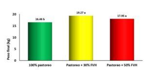 forraje verde hidropónico - cultivo hidropónico
