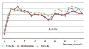 gallinas ponedoras - técnicas de muda forzada o pelecha