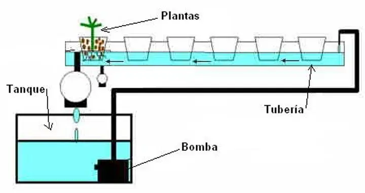 componentes del sistema NFT en los tipos de sistemas de hidroponía