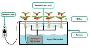 sistemas hidropónicos - tipos de sistemas hidropónicos
