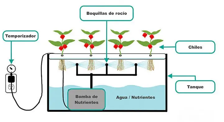 diagrama de aeroponía 