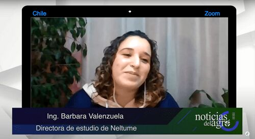 Neltume, inteligencia artificial para el monitoreo de plagas
