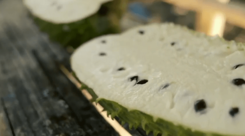 Cultivo de guanábana - beneficios de la guanábana