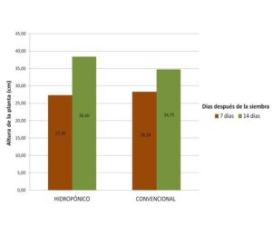 forraje verde hidropónico - cultivo hidropónico