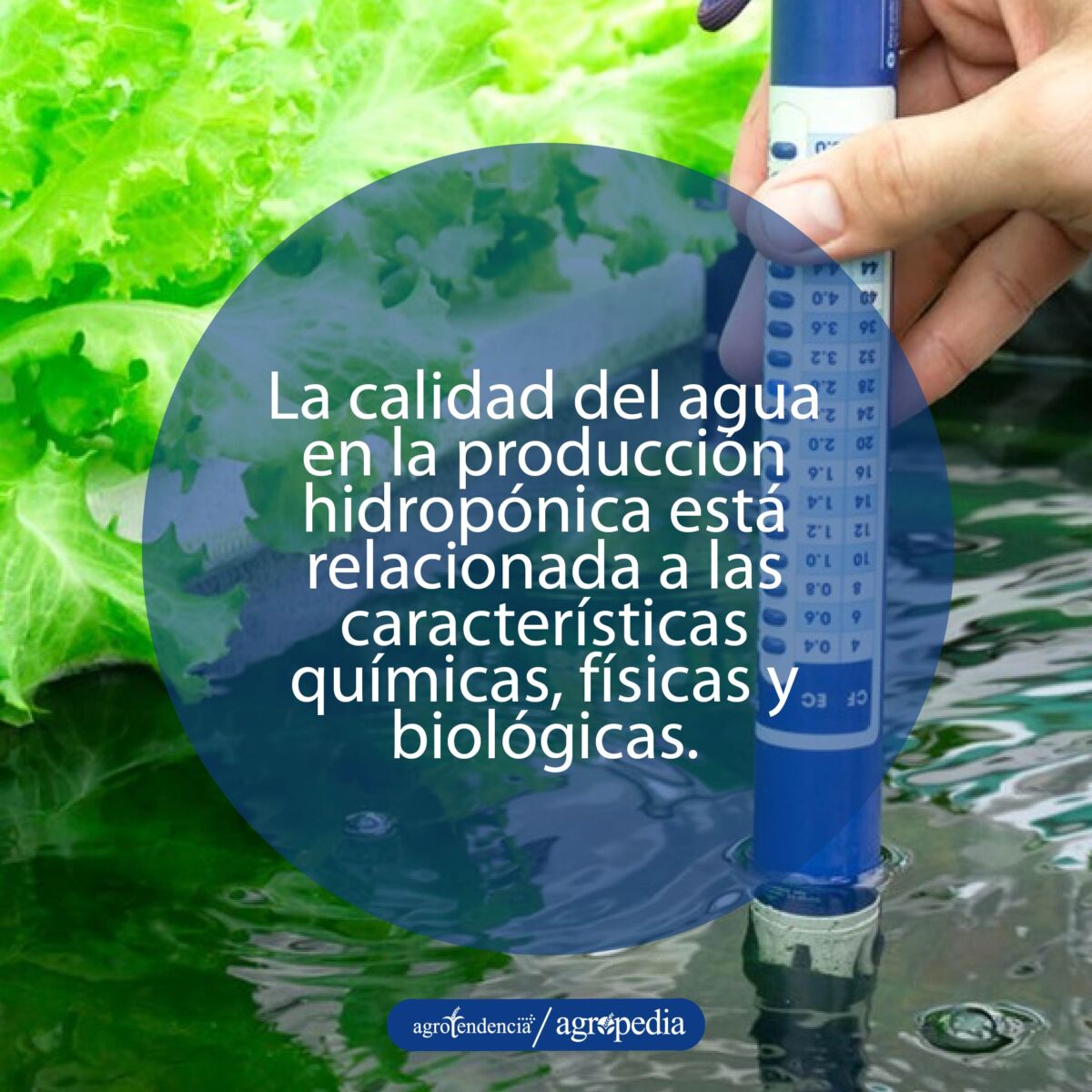 mano midiendo temperatura del agua