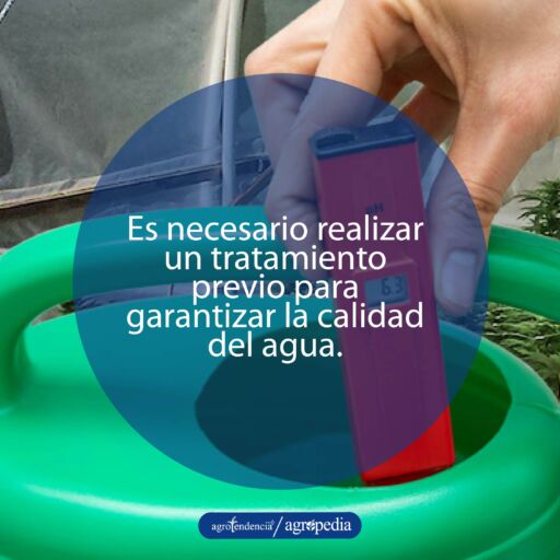 persona evaluando calidad del agua