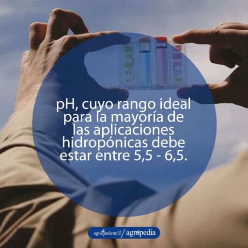 persona evaluando pH del agua para determinar su calidad