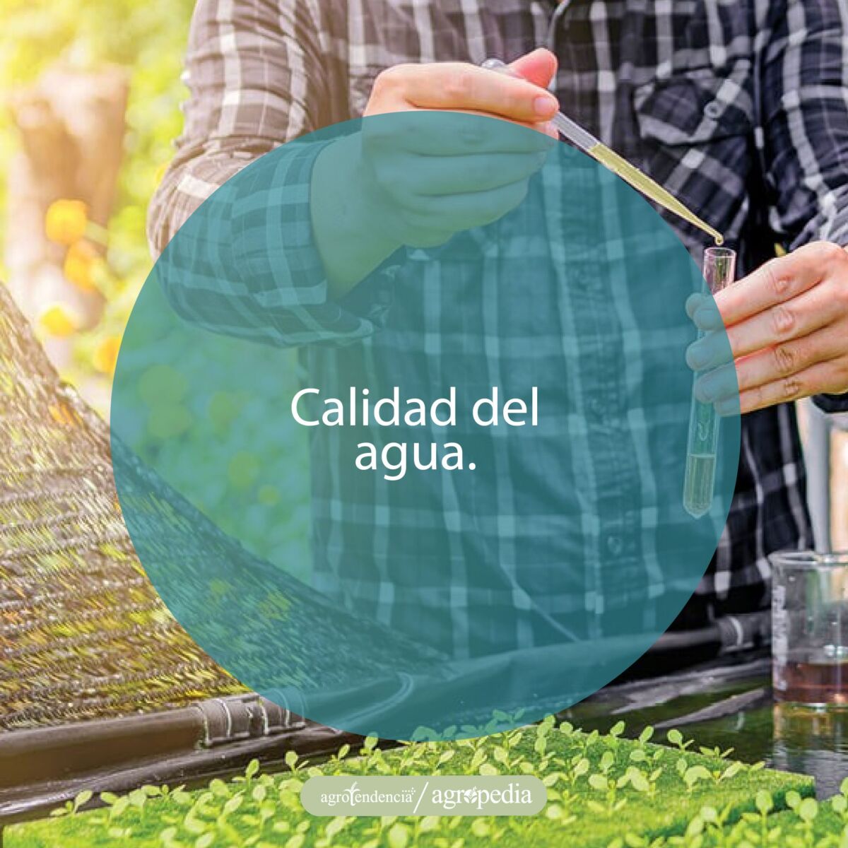 persona evaluando la calidad de agua en un tubo de ensayo