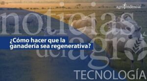 Ganadería regenerativa | Producción sustentable y agroecológica
