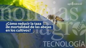 Mejora el rendimiento de los cultivos sin perjudicar a las abejas