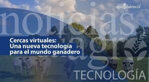¿Alguna vez imaginaste una finca sin potreros?