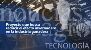 Máscara para vacas que convierte el metano en agua y dióxido de carbono