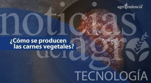 Carnes vegetales ¿Cómo se producen?