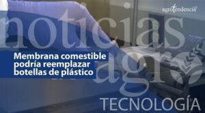 Membrana comestible podría reemplazar botellas de plástico