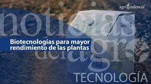 Nitrógeno más eficiente y sostenible para alimentar sus cultivos
