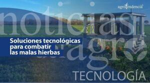 Robots para atacar malas hierbas