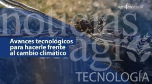 Avances tecnológicos para hacerle frente al cambio climático