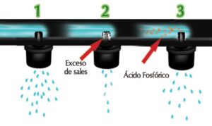 cultivo hidropónico - calidad del agua