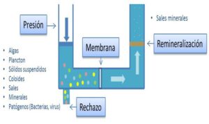 cultivo hidropónico - calidad del agua