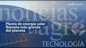 Innovaciones y proyectos en pro del medio ambiente