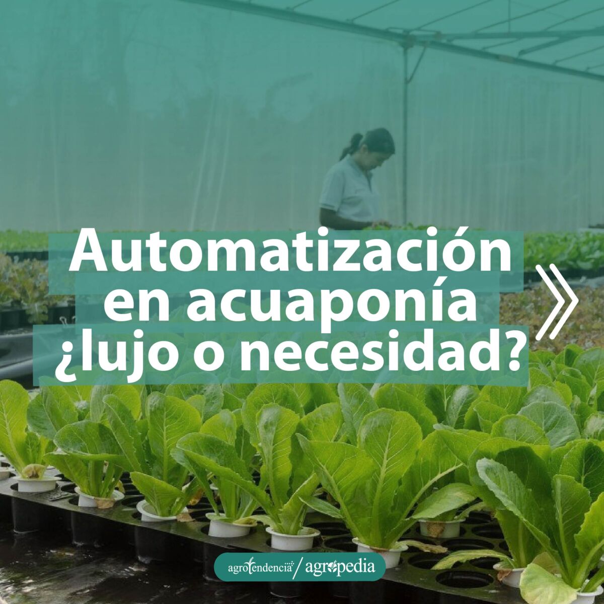 Mujer evaluando el sistema acuapónico automatizado