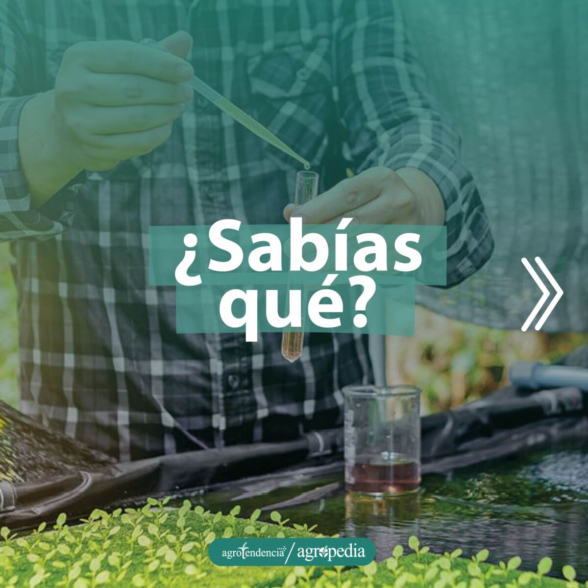 Un hombre preparando una solución nutritiva