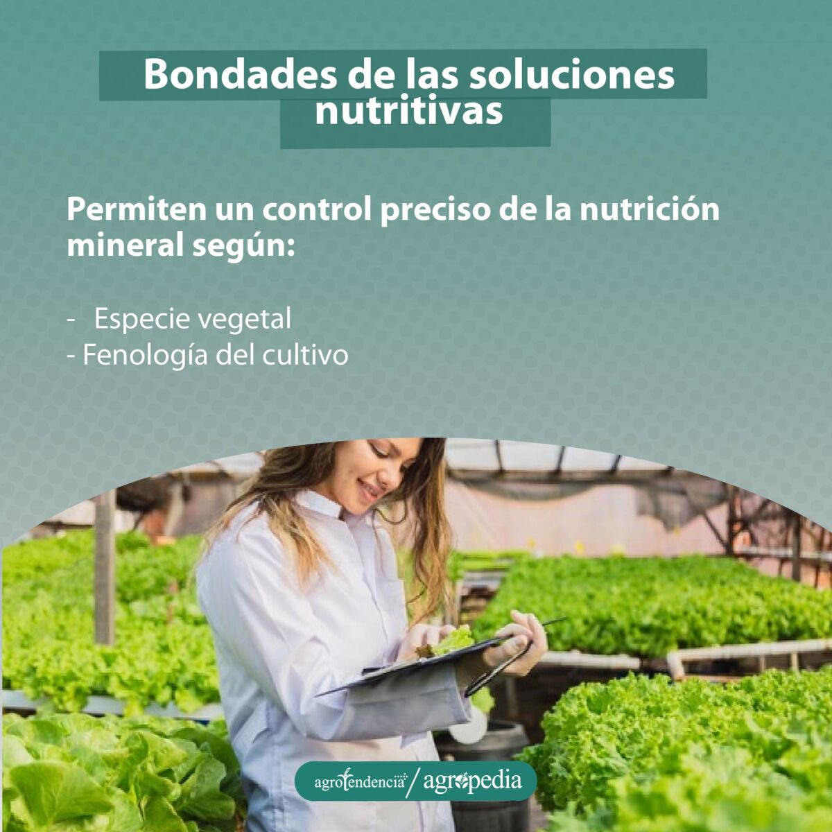 Mujer evaluando cultivos en soluciones nutritivas bajo enfoque hidropónico