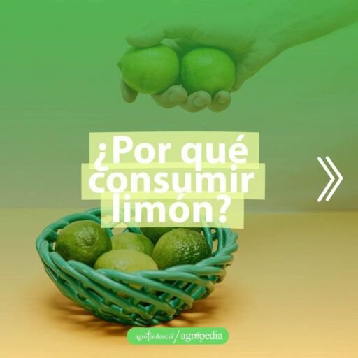 cultivo de limón - beneficios del limón