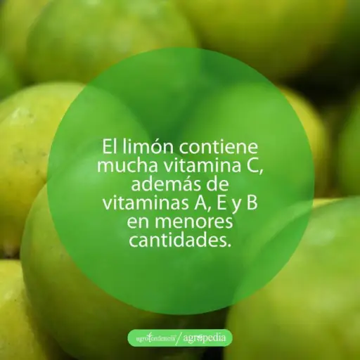 cultivo de limón - beneficios del limón