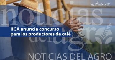 productores de café