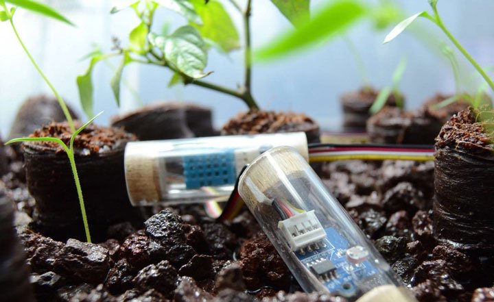 Sensores que miden el proceso de crecimiento vegetal bajo sistema acuapónico