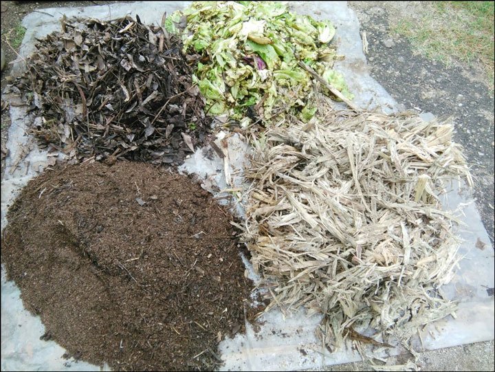 residuos organicos usados para elaborar compost en el que se le aplicará microorganismos eficientes