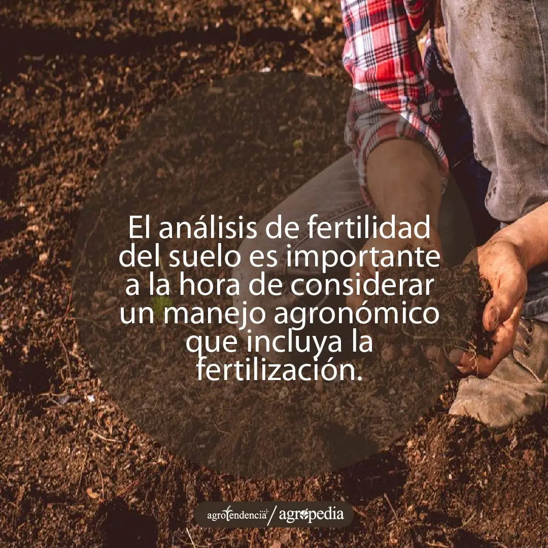 hombre tomando tierra para realizar un análisis de fertilidad de suelo